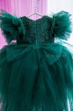 Дитяча святкова сукня Келлі з рукавчиком в Зеленому кольорі
