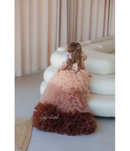 Дитяча святкова сукня Пишна Троянда, колір капучіно градієнт