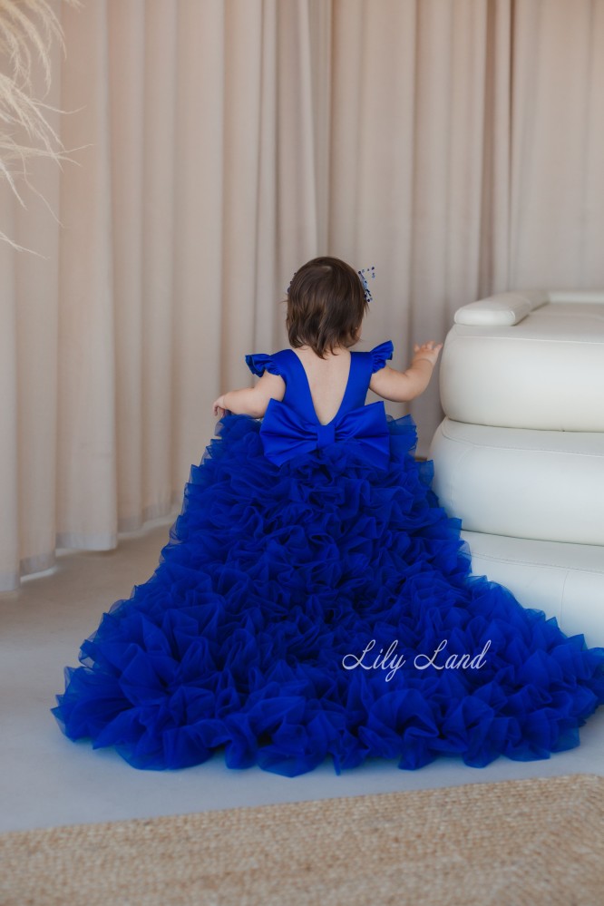 Дитяча святкова сукня Пишна Троянда, колір синій