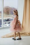 Дитяча святкова сукня Моллі в пудровому кольорі