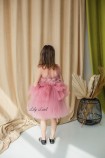 Дитяча святкова сукня Моллі в кольорі чайна троянда