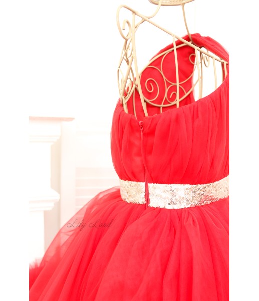 Дитяча святкова сукня Дейзі, колір Червоний
