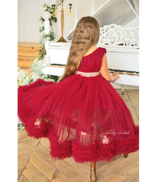 Детское нарядное платье Дейзи, цвет бордо