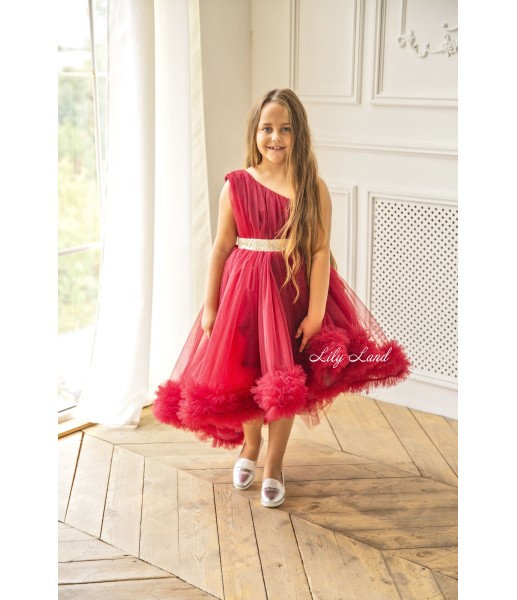 Детское нарядное платье Дейзи, цвет бордо