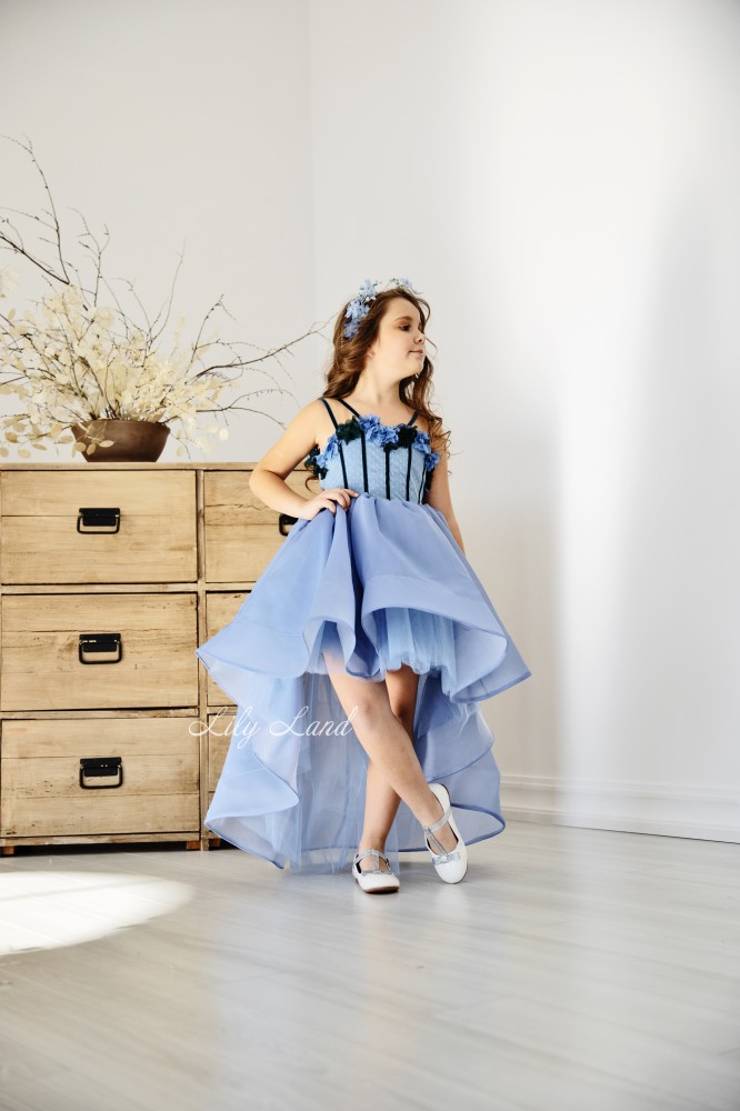 Дитяча святкова сукня Мічіган, в синьому кольорі
