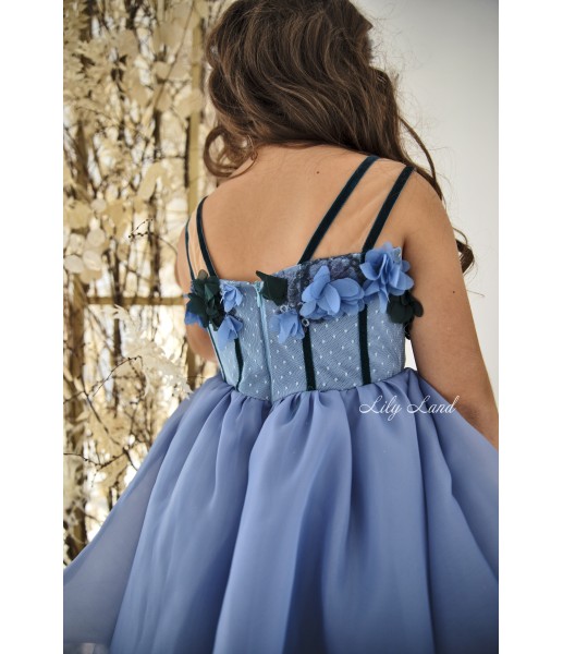 Дитяча святкова сукня Мічіган, в синьому кольорі