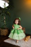 Дитяча святкова сукня Ненсі, колір Салатовий