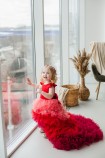 Детское нарядное платье Роза, цвет красный с градиентом