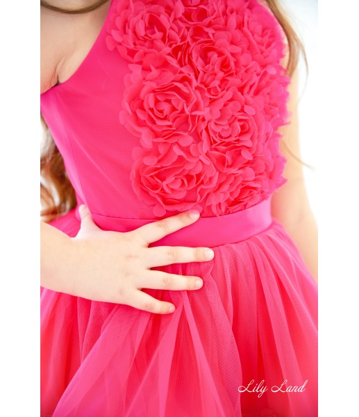 Дитяча святкова сукня Розі, колір малиновий