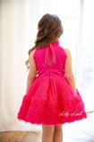 Дитяча святкова сукня Розі, колір малиновий