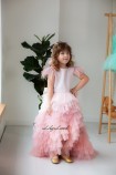 Детское платье Урсула, цвет пудра с перьями