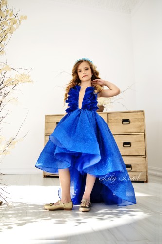 Детское нарядное платье Вашингтон, в синем цвете