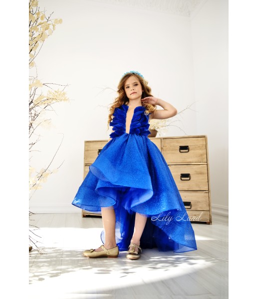 Детское нарядное платье Вашингтон, в синем цвете
