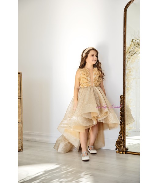 Детское нарядное платье Вашингтон, в золотом цвете